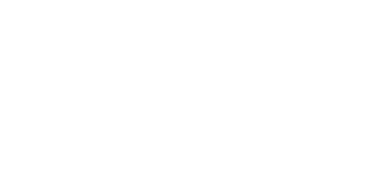 Pegasus Logistics Group